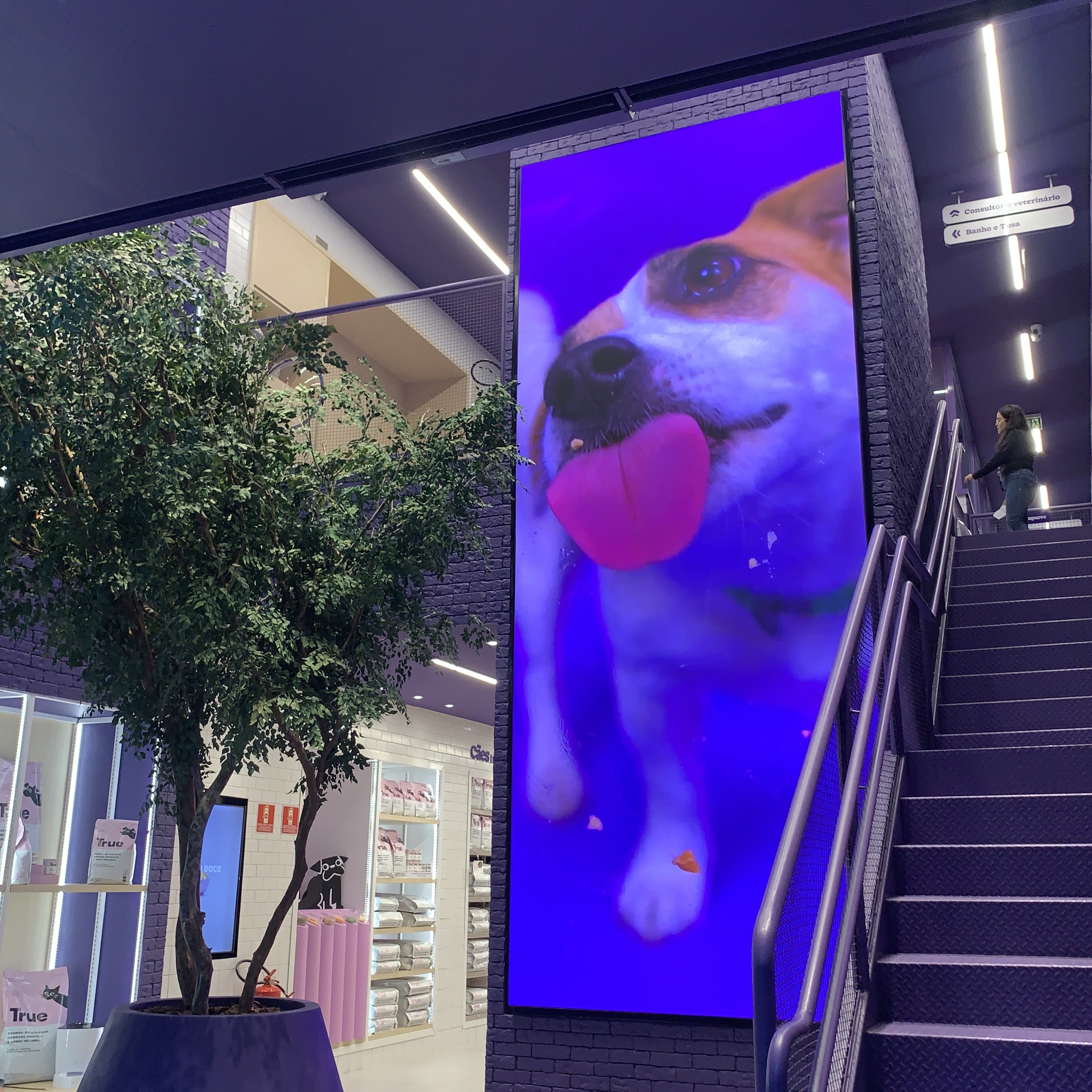 Detalhe do painel Petlove