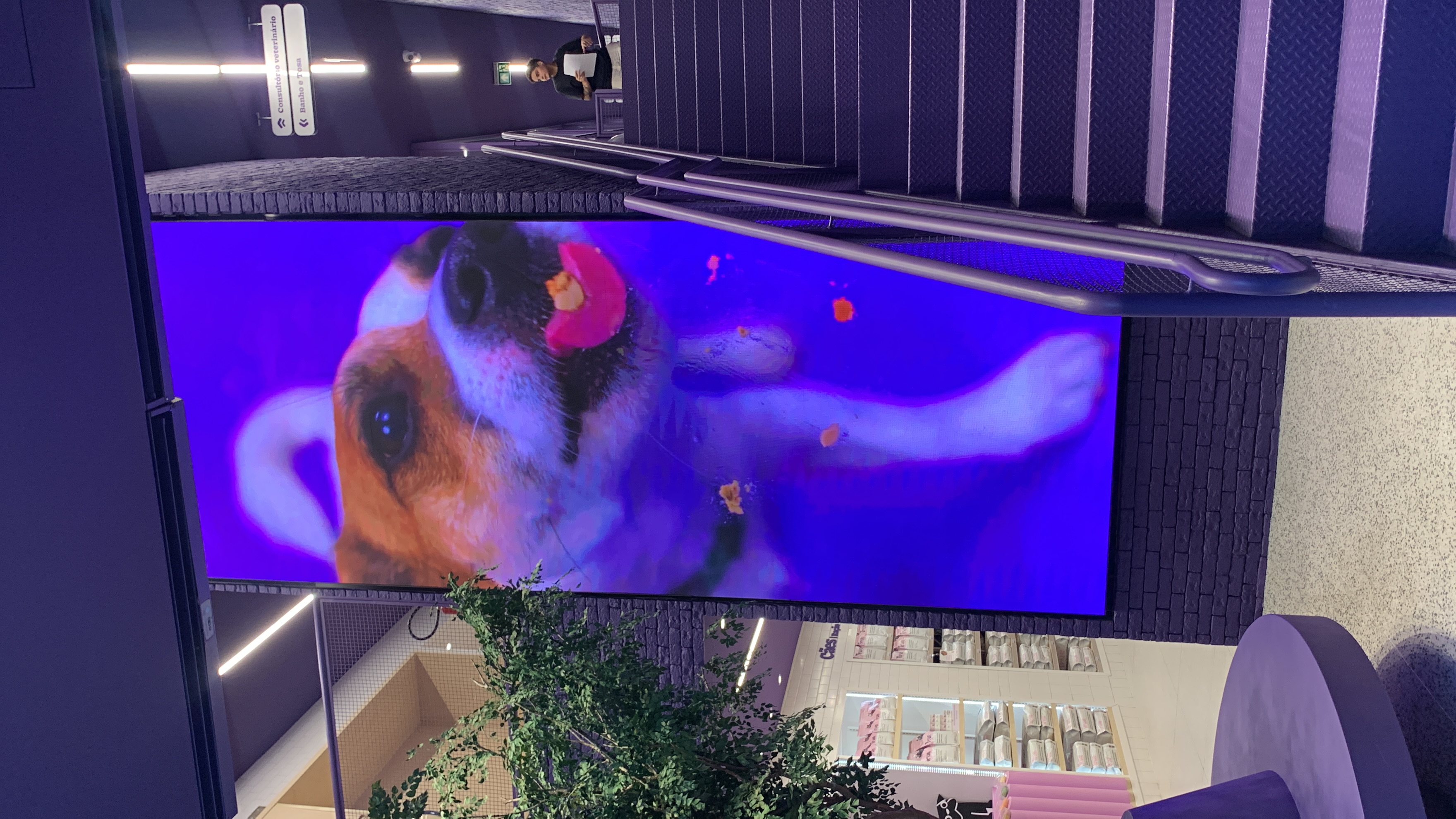 Painel de LED em operação